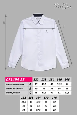 DELORAS Рубашка C71494-25