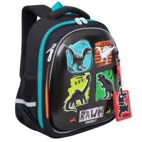 Grizzly Рюкзак RAz-387-6