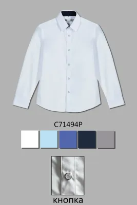 DELORAS Рубашка C71494P