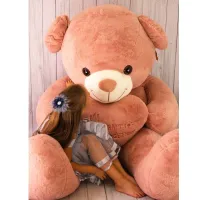 Мягкая игрушка Медведь DL220005301DP