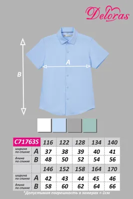 DELORAS Рубашка C71763S