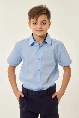 DELORAS Рубашка C70478S-21