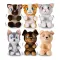 club Petz Интерактивные игрушки 96813