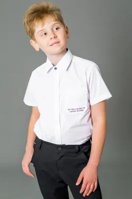 DELORAS Рубашка C71280S