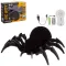 Робот-паук “Beboy“ на пульте р/у