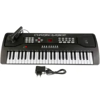 Синтезатор 220v/ на бат. со светом, с микрофоном, 49 клавиш