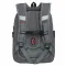 Grizzly Рюкзак RAf-493-2