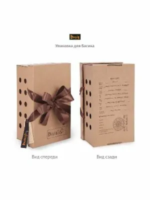 BUDI BASA Басик с тюльпаном 30 см