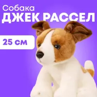 Мягкие Игрушки Мягкая Игрушка MAXITOYS, Собака Джек Рассел, 25 см