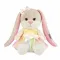 Jack&Lin Мягкие игрушки JL-02202305-25