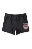 BAYKAR Шорты 3380-99