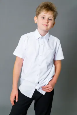 DELORAS Рубашка C71051S-22