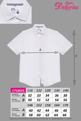 DELORAS Рубашка C71855S