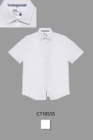 DELORAS Рубашка C71855SN