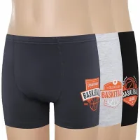 BAYKAR Шорты 3954-99