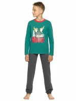 PELICAN Комплект NFAJP4822U