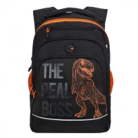 Grizzly Рюкзак RB-450-3