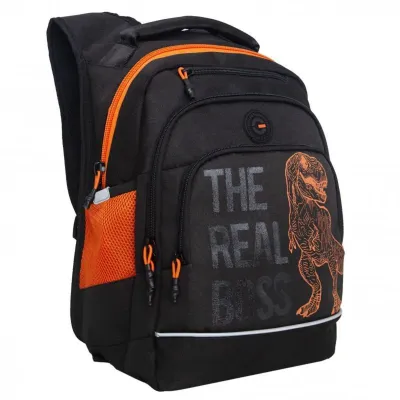 Grizzly Рюкзак RB-450-3