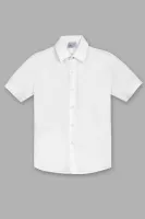 DELORAS Рубашка C70478SP-21