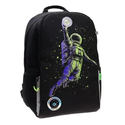 Grizzly Рюкзак RB-351-2