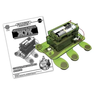 Профессор Эйн: Жук