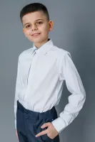 DELORAS Рубашка C71737