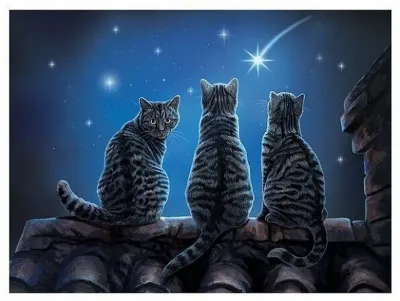 Prime 3D Пазл Super Желание на звезду