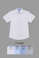 DELORAS Рубашка C71828SP2N