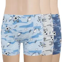 BAYKAR Шорты 3334-360