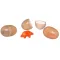 JUNFA Интерактивные игрушки WB-00697