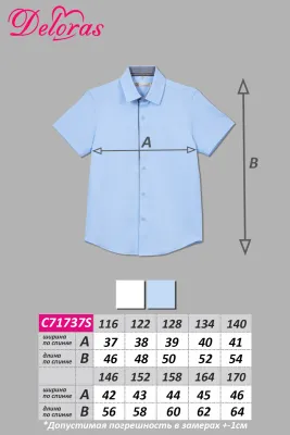 DELORAS Рубашка C71737S