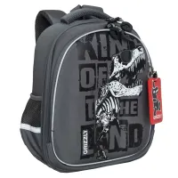 Grizzly Рюкзак RAz-487-2