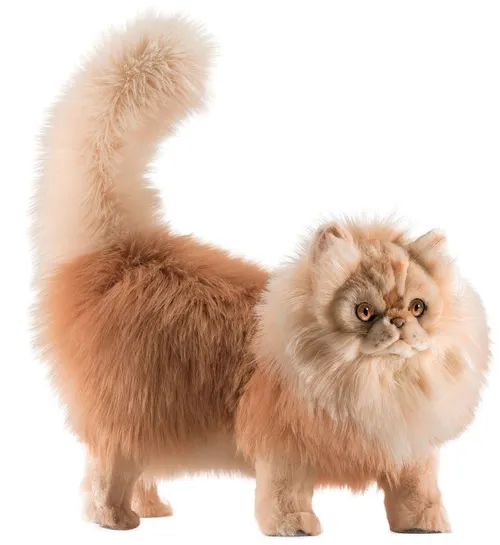 Персидский кот Табби кремовый, 45см купить в Краснодаре: лучшая цена в  детском интернет-магазине DaniLand